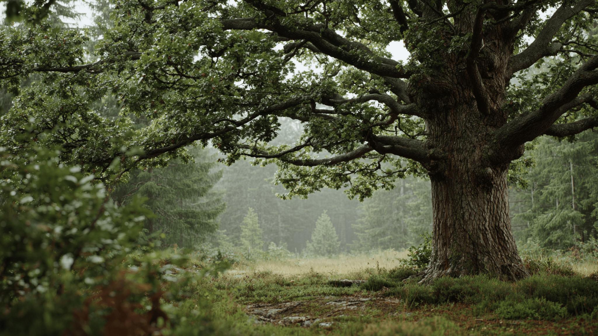 Image produced by generative artificial intelligence Bild på Ek i skog